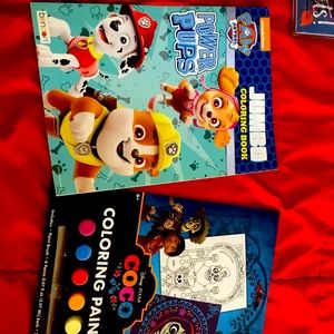 Bundle set coloring and paint